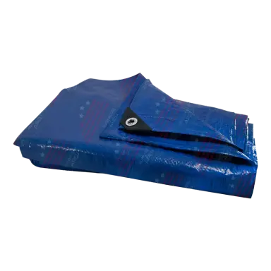 Lona Multiuso Azul com 100 Micras - 3 X 3 - 00140080904