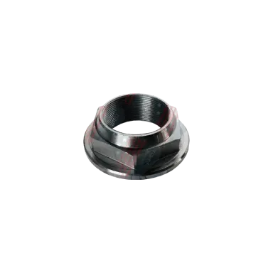 Porca Diferencial Pinhão - Mb, Volvo, Vw, Iveco, Ford, Daf - M45 X 1,50 - 41-317